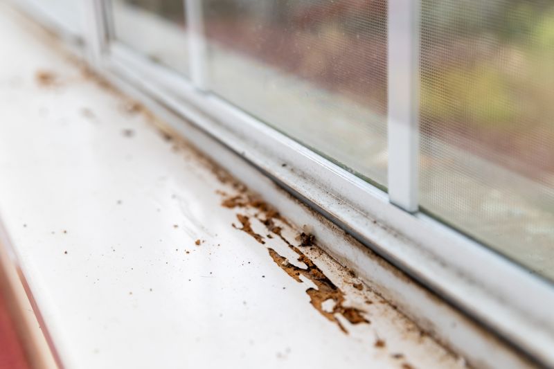 Window Sill Replacement